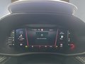Daumennagel 18 - Skoda Fabia Monte Carlo 1,0TSI DSG 5*J.Gar/LED/Winterp/Temp. **