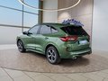 Daumennagel 3 - Ford Kuga ST-Line 2,5 FHEV 180PS 5*J.Gar/LED/Navi/Winterp.   **