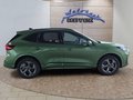 Daumennagel 6 - Ford Kuga ST-Line 2,5 FHEV 180PS 5*J.Gar/LED/Navi/Winterp.   **