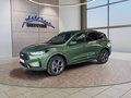 Daumennagel 1 - Ford Kuga ST-Line 2,5 FHEV 180PS 5*J.Gar/LED/Navi/Winterp.   **