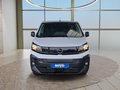 Daumennagel 8 - Opel Vivaro L2 2,0d 144PS Aut.Standhz/AHK/Winterp/Kamera  **