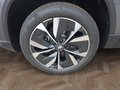 Daumennagel 14 - Skoda Karoq 1,5TSI DSG 18*Alu/aAHK/ACC/Kamera/Winterp. **