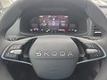 Daumennagel 21 - Skoda Karoq 1,5TSI DSG 18*Alu/aAHK/ACC/Kamera/Winterp. **