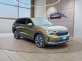 Daumennagel 7 - Skoda Kodiaq 2,0TSI DSG 4x4 aAHK/7-Sitzer/Matrix/Navi/el.Klappe   **