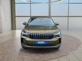 Daumennagel 8 - Skoda Kodiaq 2,0TSI DSG 4x4 aAHK/7-Sitzer/Matrix/Navi/el.Klappe   **