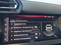 Daumennagel 35 - Audi A3 Sportback 35TFSI 4*J.Gar/LED/ACC/Keyless/el.Klappe/Sitzhz.   **