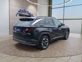 Daumennagel 6 - Hyundai TUCSON 1.6 T-GDI DCT Navi/ACC/Kamera/Keyless/Sitzhz.