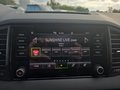 Daumennagel 26 - Skoda Karoq 1,5TSI DSG aAHK/ACC/Kamera/Winterp.       **