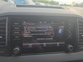 Daumennagel 28 - Skoda Karoq 1,5TSI DSG aAHK/ACC/Kamera/Winterp.       **