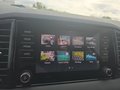 Daumennagel 40 - Skoda Karoq 1,5TSI DSG aAHK/ACC/Kamera/Winterp.       **
