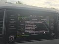 Daumennagel 47 - Skoda Karoq 1,5TSI DSG aAHK/ACC/Kamera/Winterp.       **