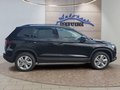 Daumennagel 6 - Skoda Karoq 1,5TSI DSG aAHK/ACC/Kamera/Winterp.       **