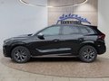 Daumennagel 2 - CUPRA Terramar 1.5 eTSI DSG ACC/Kessy/el.Klappe/Winterp. **
