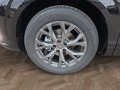 Daumennagel 15 - CUPRA Terramar 1.5 eTSI DSG ACC/Kessy/el.Klappe/Winterp. **