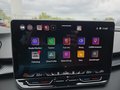 Daumennagel 28 - CUPRA Terramar 1.5 eTSI DSG ACC/Kessy/el.Klappe/Winterp. **