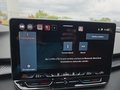 Daumennagel 32 - CUPRA Terramar 1.5 eTSI DSG ACC/Kessy/el.Klappe/Winterp. **