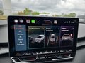 Daumennagel 41 - CUPRA Terramar 1.5 eTSI DSG ACC/Kessy/el.Klappe/Winterp. **