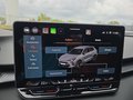 Daumennagel 42 - CUPRA Terramar 1.5 eTSI DSG ACC/Kessy/el.Klappe/Winterp. **