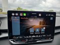 Daumennagel 45 - CUPRA Terramar 1.5 eTSI DSG ACC/Kessy/el.Klappe/Winterp. **