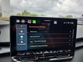 Daumennagel 49 - CUPRA Terramar 1.5 eTSI DSG ACC/Kessy/el.Klappe/Winterp. **