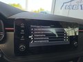 Daumennagel 42 - Skoda Kamiq Monte Carlo 1,5TSI DSG 5*J.Gar/Kessy/Matrix/Winterp/Kamera  **