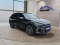 Daumennagel 7 - CUPRA Terramar 1.5 eTSI DSG ACC/Kessy/el.Klappe/Winterp. **
