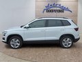 Daumennagel 2 - Skoda Karoq 1,5TSI DSG aAHK/ACC/Kamera/Winterp.