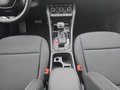 Daumennagel 12 - Skoda Karoq 1,5TSI DSG aAHK/ACC/Kamera/Winterp.