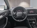 Daumennagel 13 - Skoda Karoq 1,5TSI DSG aAHK/ACC/Kamera/Winterp.