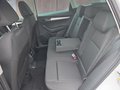 Daumennagel 14 - Skoda Karoq 1,5TSI DSG aAHK/ACC/Kamera/Winterp.