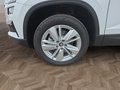 Daumennagel 15 - Skoda Karoq 1,5TSI DSG aAHK/ACC/Kamera/Winterp.