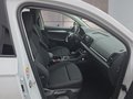 Daumennagel 16 - Skoda Karoq 1,5TSI DSG aAHK/ACC/Kamera/Winterp.