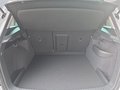 Daumennagel 17 - Skoda Karoq 1,5TSI DSG aAHK/ACC/Kamera/Winterp.