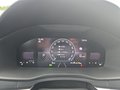 Daumennagel 22 - Skoda Karoq 1,5TSI DSG aAHK/ACC/Kamera/Winterp.