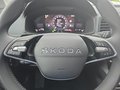 Daumennagel 23 - Skoda Karoq 1,5TSI DSG aAHK/ACC/Kamera/Winterp.