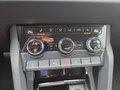 Daumennagel 26 - Skoda Karoq 1,5TSI DSG aAHK/ACC/Kamera/Winterp.
