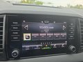 Daumennagel 27 - Skoda Karoq 1,5TSI DSG aAHK/ACC/Kamera/Winterp.