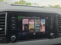 Daumennagel 30 - Skoda Karoq 1,5TSI DSG aAHK/ACC/Kamera/Winterp.