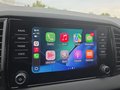 Daumennagel 33 - Skoda Karoq 1,5TSI DSG aAHK/ACC/Kamera/Winterp.