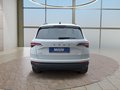 Daumennagel 4 - Skoda Karoq 1,5TSI DSG aAHK/ACC/Kamera/Winterp.