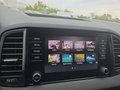Daumennagel 42 - Skoda Karoq 1,5TSI DSG aAHK/ACC/Kamera/Winterp.