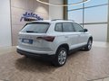 Daumennagel 5 - Skoda Karoq 1,5TSI DSG aAHK/ACC/Kamera/Winterp.