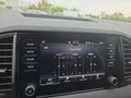 Daumennagel 45 - Skoda Karoq 1,5TSI DSG aAHK/ACC/Kamera/Winterp.