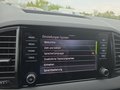 Daumennagel 47 - Skoda Karoq 1,5TSI DSG aAHK/ACC/Kamera/Winterp.