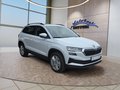 Daumennagel 7 - Skoda Karoq 1,5TSI DSG aAHK/ACC/Kamera/Winterp.