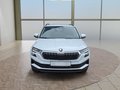 Daumennagel 8 - Skoda Karoq 1,5TSI DSG aAHK/ACC/Kamera/Winterp.