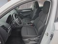 Daumennagel 9 - Skoda Karoq 1,5TSI DSG aAHK/ACC/Kamera/Winterp.