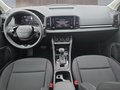Daumennagel 10 - Skoda Karoq 1,5TSI DSG aAHK/ACC/Kamera/Winterp.