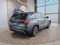 Daumennagel 5 - Skoda Kodiaq 1.5TSI mHEV Navi/Kamera/LED/el.Klappe/Kessy  **