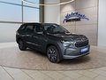 Daumennagel 7 - Skoda Kodiaq 1.5TSI mHEV Navi/Kamera/LED/el.Klappe/Kessy  **